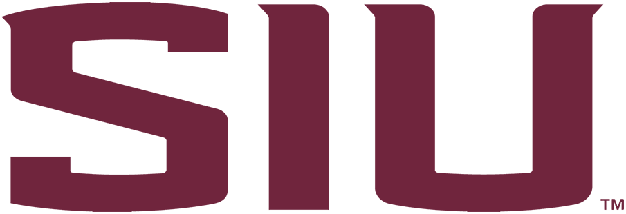 Southern Illinois Salukis 2019-Pres Wordmark Logo diy DTF decal sticker